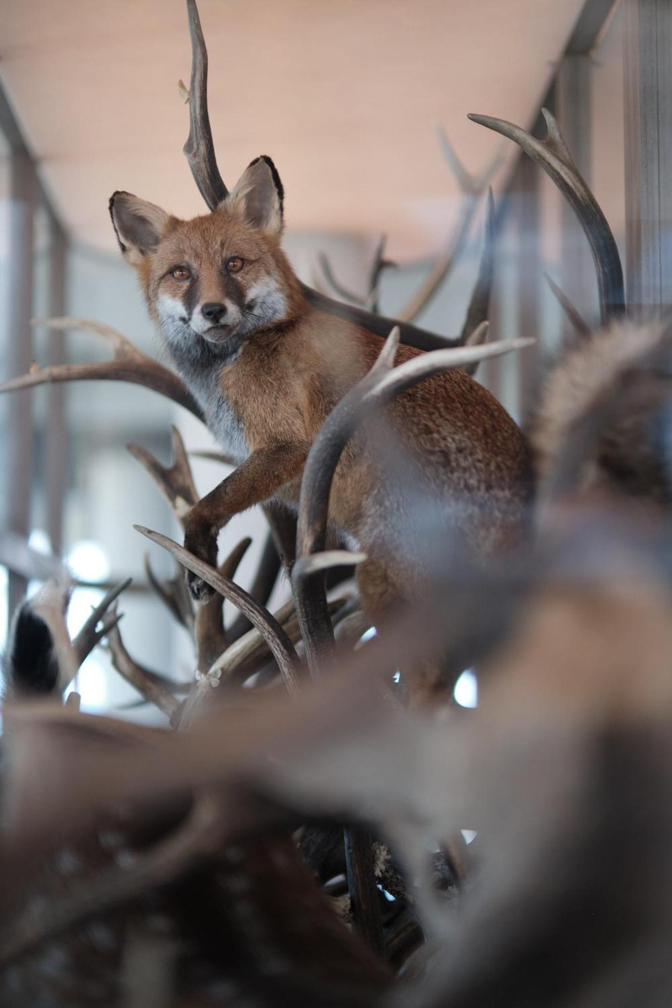Boutique Hotel Blendin Bloemendaal Aan Zee エクステリア 写真