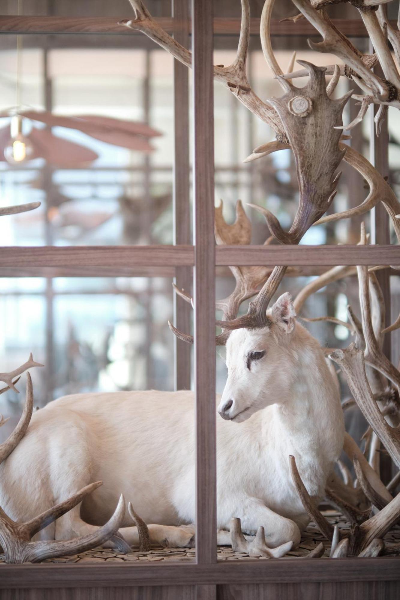 Boutique Hotel Blendin Bloemendaal Aan Zee エクステリア 写真
